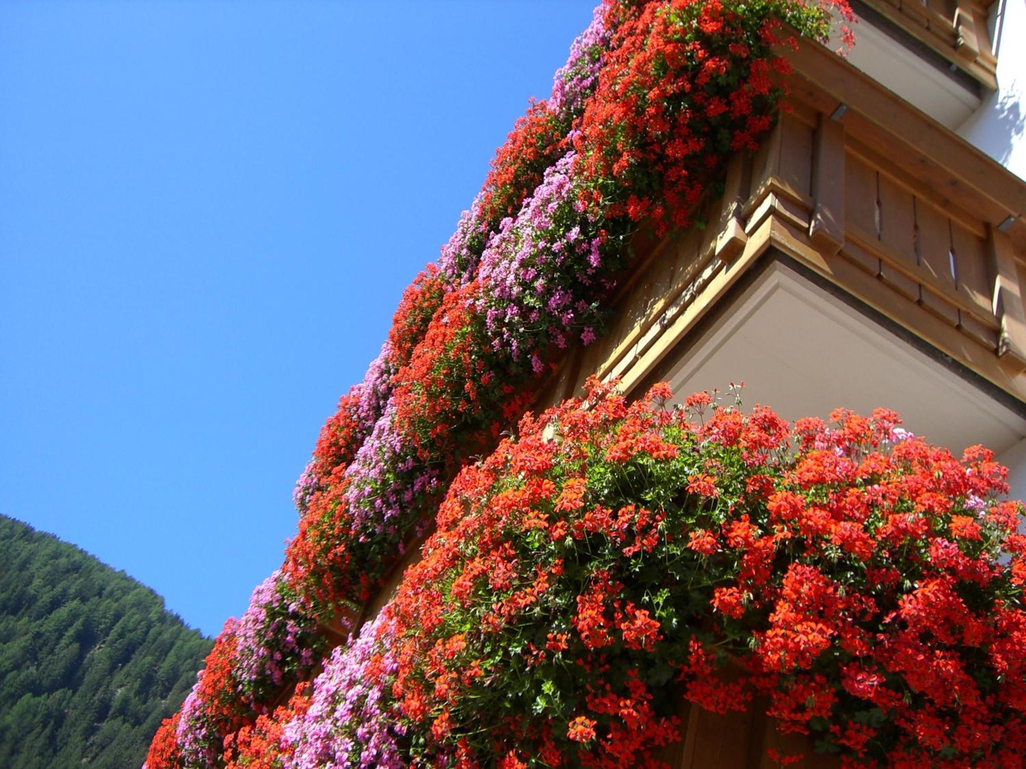 B&B Hotel Alpenrose Rooms & Apartments Valles Exterior photo